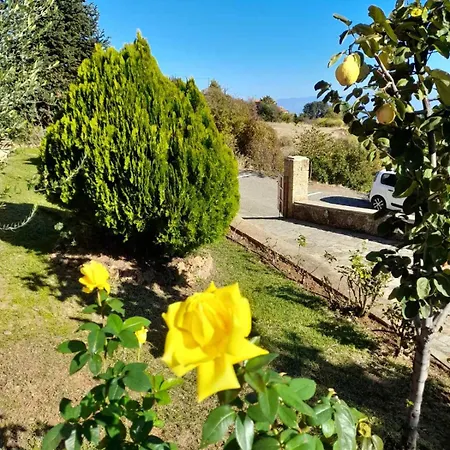 Anta's * Ambelokipoi (Corinthia)