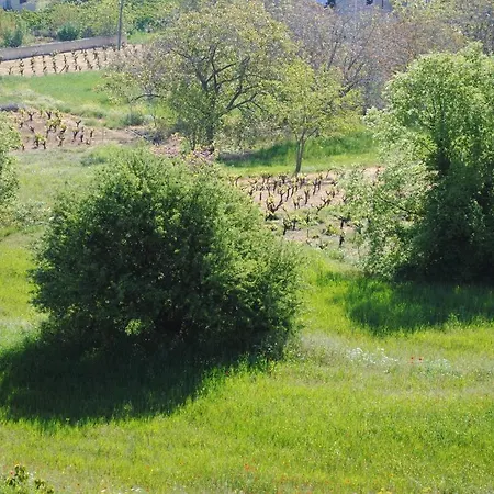 Anta's * Ambelokipoi (Corinthia)