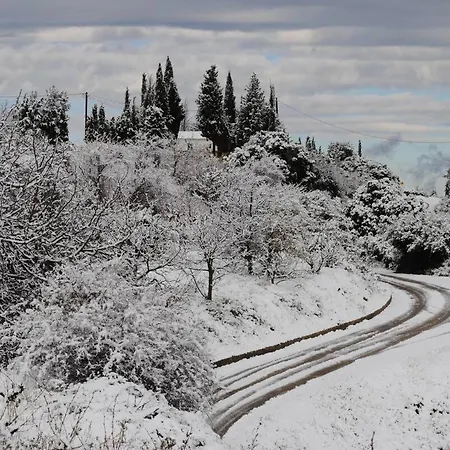 Апартаменты Anta's *