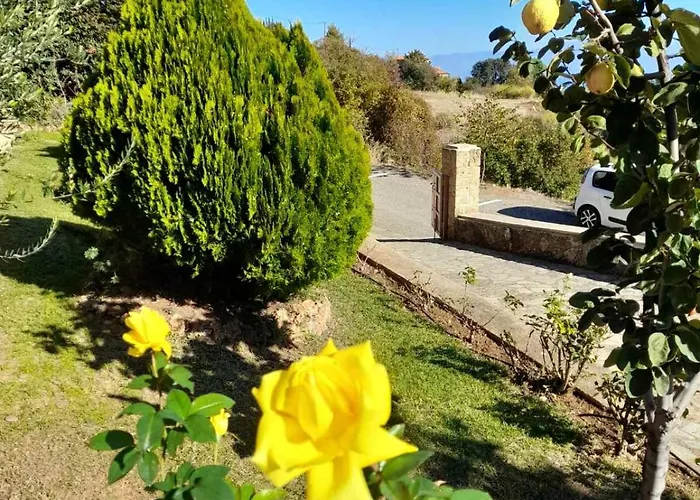 Anta's * Ambelokipoi (Corinthia)