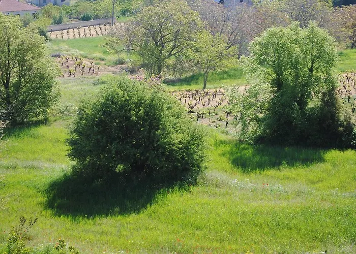 Anta's * Ambelokipoi (Corinthia)